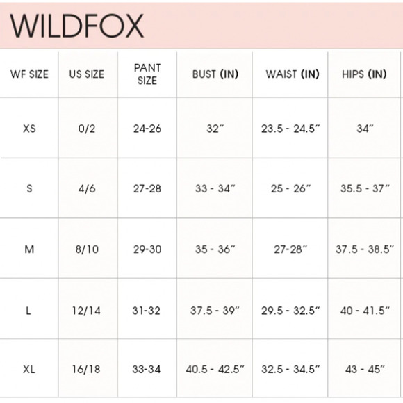 Wildfox NWT I'm An Ilana Broad City Statement Graphic Baby Tee Heather Gray XS - Picture 8 of 8